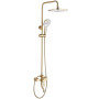 Душовий Гарнітур REA ARGUS GOLD BRUSH REA-P7841