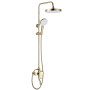 Душовий Гарнітур REA BLOOM WHITE GOLD REA-P9529
