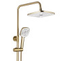 Душовий Гарнітур REA ARGUS GOLD BRUSH REA-P7841