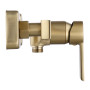 Змішувач для Душа REA ARGUS GOLD BRUSH REA-B6413